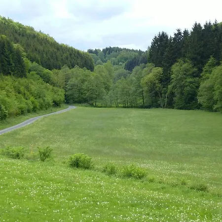 Beautiful Near The Area *