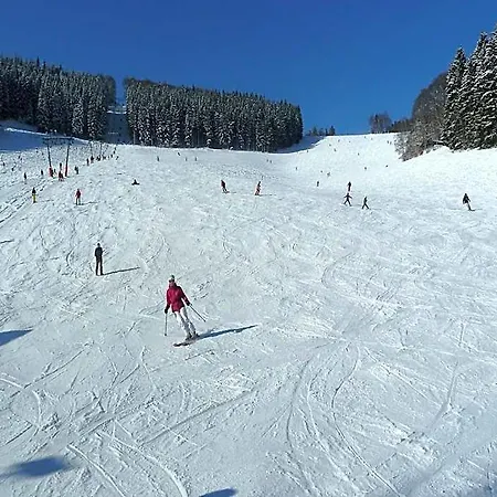 In Nahe Winterberg שמאלנברג