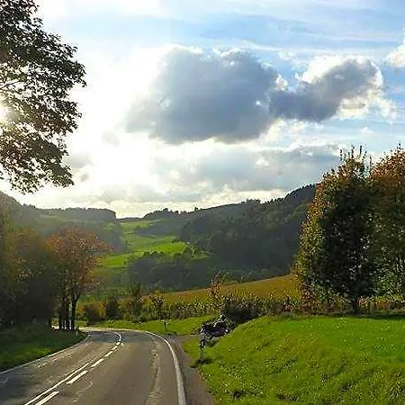 In Nahe Winterberg דירה *