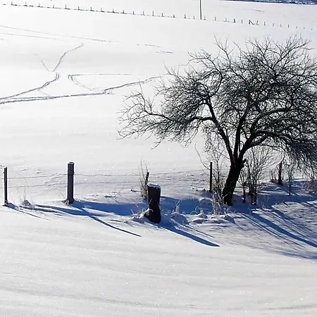 In Nahe Winterberg שמאלנברג