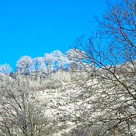 דירה In Nahe Winterberg שמאלנברג